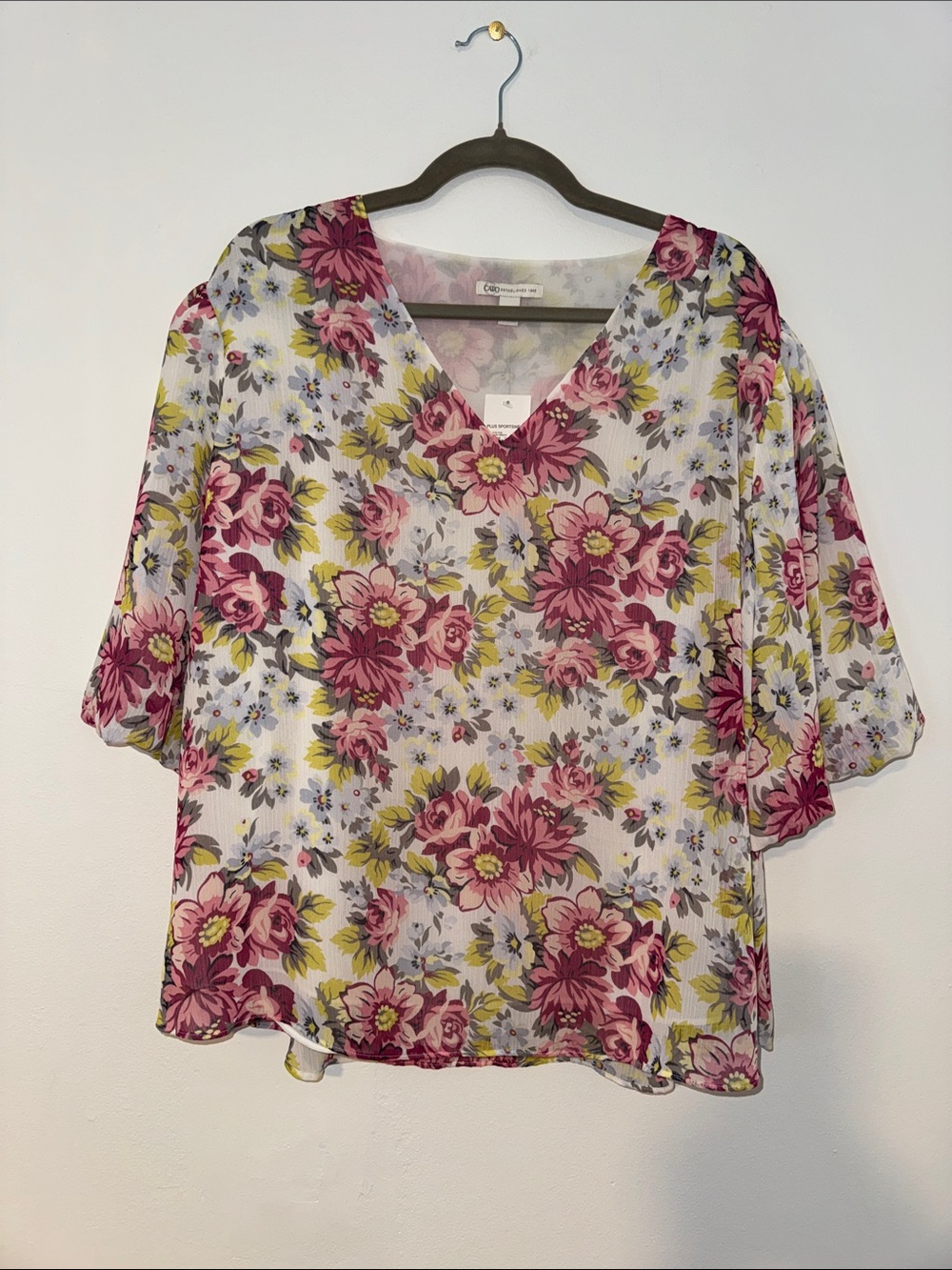 Cato Floral V-Neck Sheer Blouse, Fully Lined, Size 18/20W
